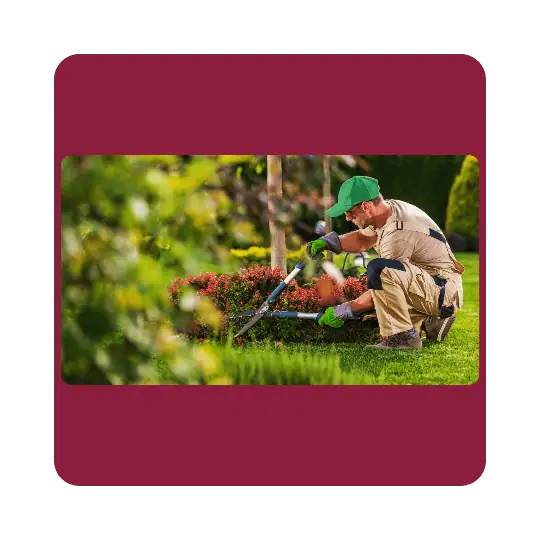 Trabajos agrícolas en USA